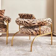 Grace Touch Set + furniture + liqana