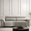 Electric Luxe Sofa + leather sofa + liqana