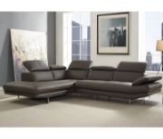 2 - Piece Leather Sectional