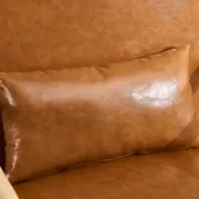 Faux Leather Chair with an Extra Pillow
