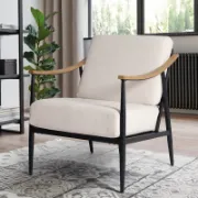 Modern Lounge Accent Chair