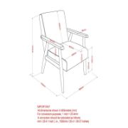 Dionise Faux Leather Armchair