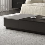Lift Top Coffee Table with Hidden Storage