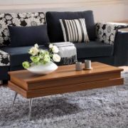 Lift Top Coffee Table with Storage