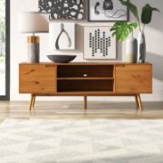 Wooden TV Stand with Two Doors