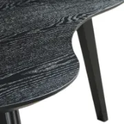 Contemporary Coffee Table