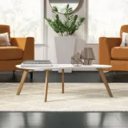 Contemporary Coffee Table