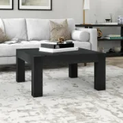 Modern minimalist  coffee table
