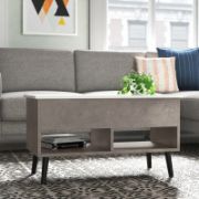 Modern minimalist coffee table features a practical design