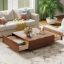 Minimalist Wood Veneer Coffee Table