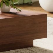 Minimalist Wood Veneer Coffee Table