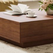 Minimalist Wood Veneer Coffee Table