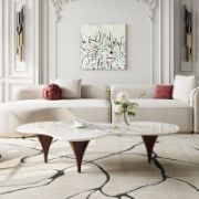 Cloud-Shape Coffee Table with Funnel Shaped Legs