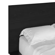 Modern Bed