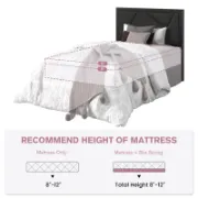 Leather Bed