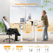 Standing & Height-Adjustable Desks