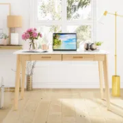 Computer Desk