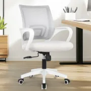 Ergonomic Mesh Task Chair