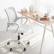Ergonomic Mesh Task Chair