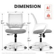 Ergonomic Mesh Task Chair