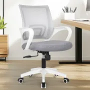 Ergonomic Mesh Task Chair