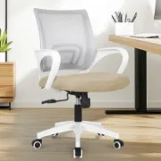 Ergonomic Mesh Task Chair