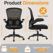 Computer Chair