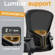 Computer Chair
