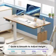 Standing & Height-Adjustable Desks
