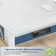 Standing & Height-Adjustable Desks