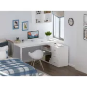Multi-Functional Desk