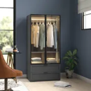 Modern Wardrobe with Lighting and Drawers